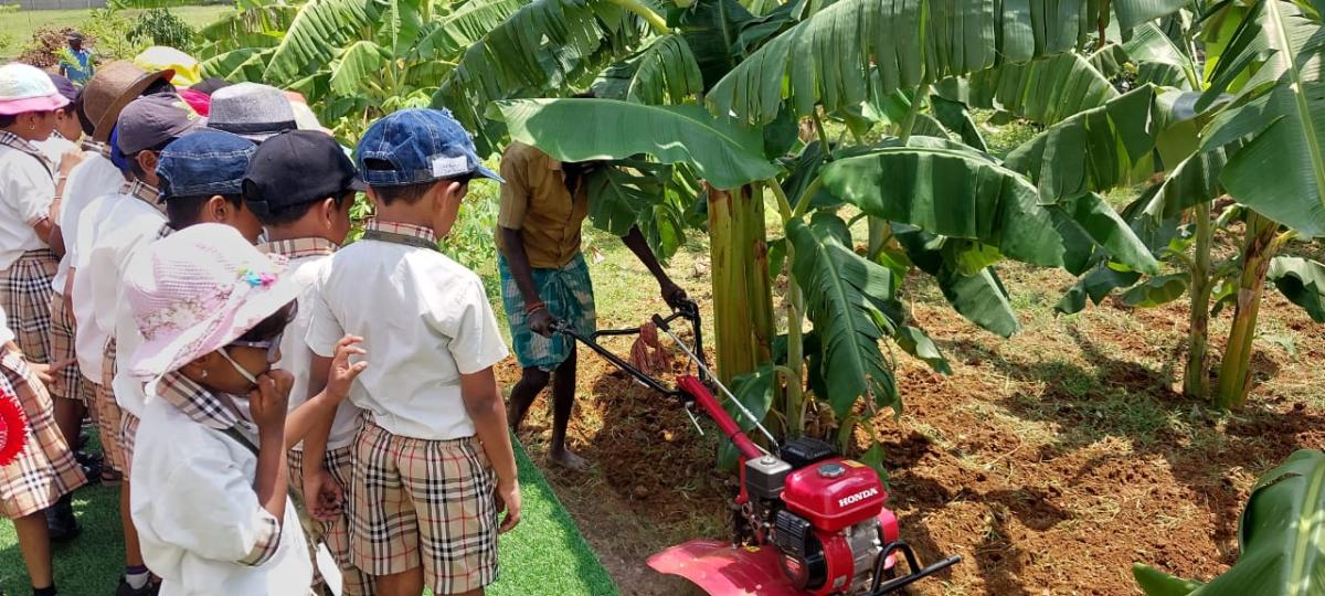 WhatsApp-Image-2023-08-31-at-6.23.54-PM-2