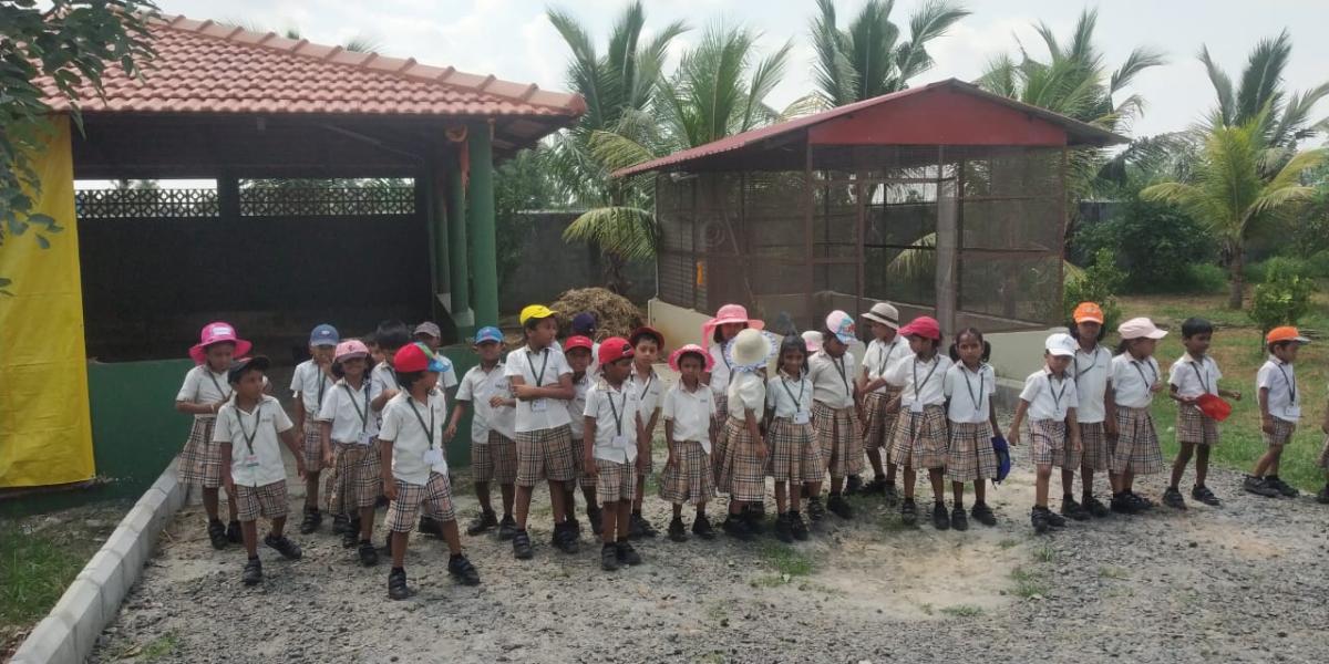 WhatsApp-Image-2023-08-31-at-8.36.15-PM