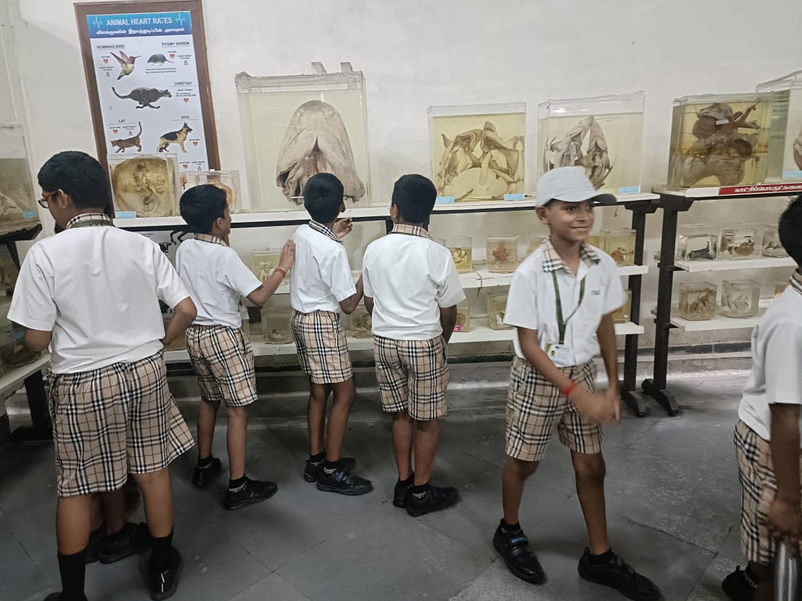 WhatsApp-Image-2023-10-27-at-7.30.49-PM-2